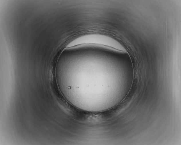 X0000116130599200911301348
