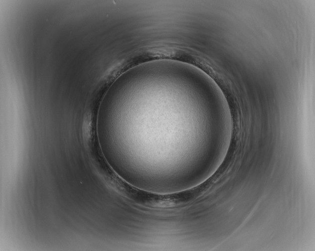 X0000116130600200911301348