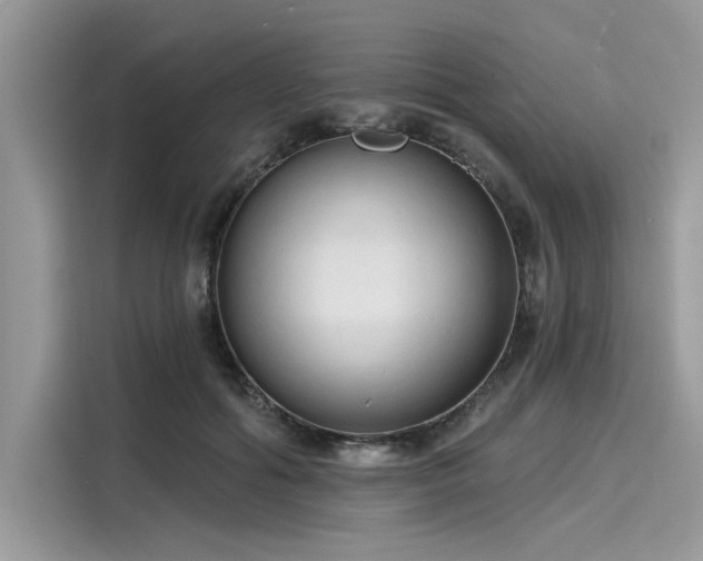 X0000116130602200911301348