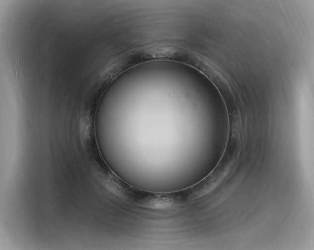 X0000116130604200911301348