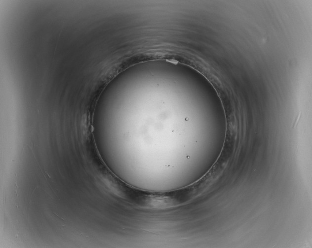 X0000116130605200911301348