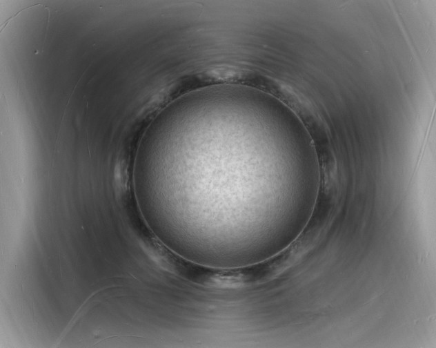 X0000116130606200911301348
