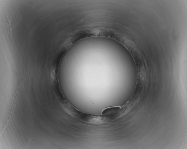 X0000116130611200911301348