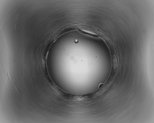 X0000116130613200911301348