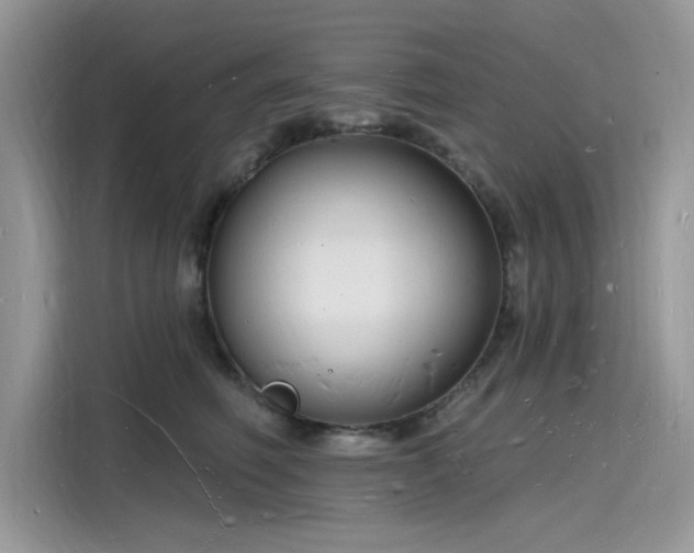 X0000116130614200911301348