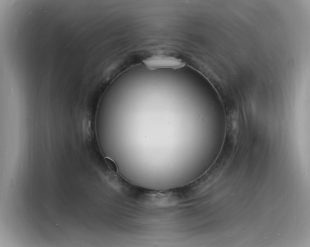 X0000116130615200911301348