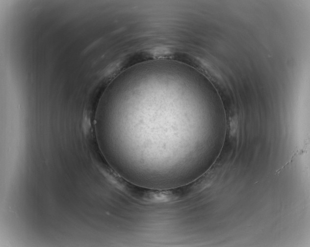 X0000116130618200911301348