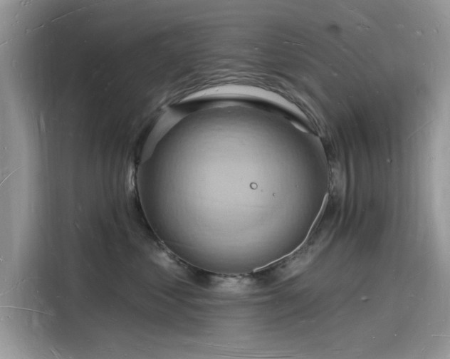 X0000116130621200911301348