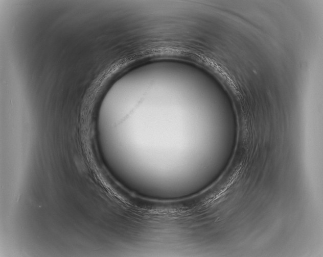 X0000116130625200911301347