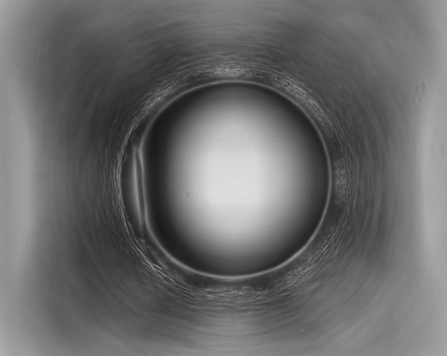 X0000116130626200911301347