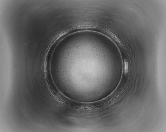 X0000116130627200911301347