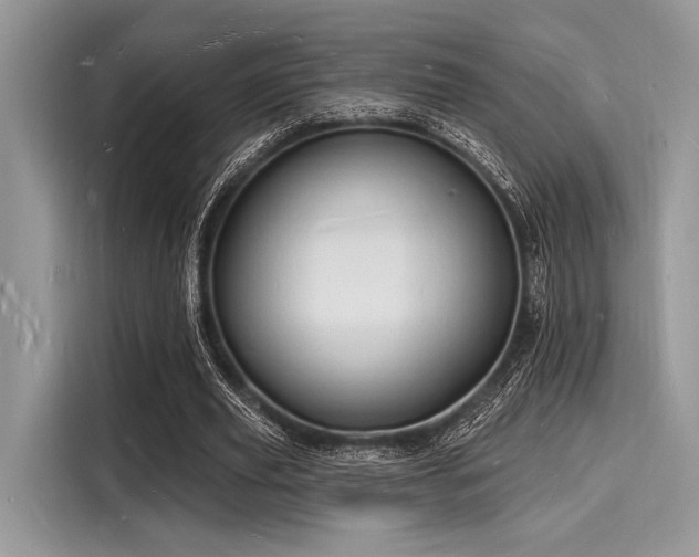 X0000116130629200911301347