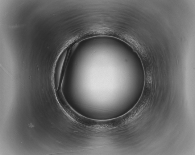 X0000116130630200911301347