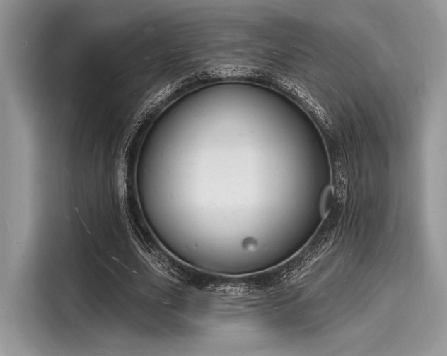 X0000116130631200911301348