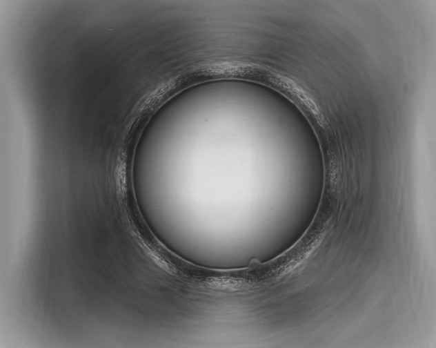 X0000116130633200911301348