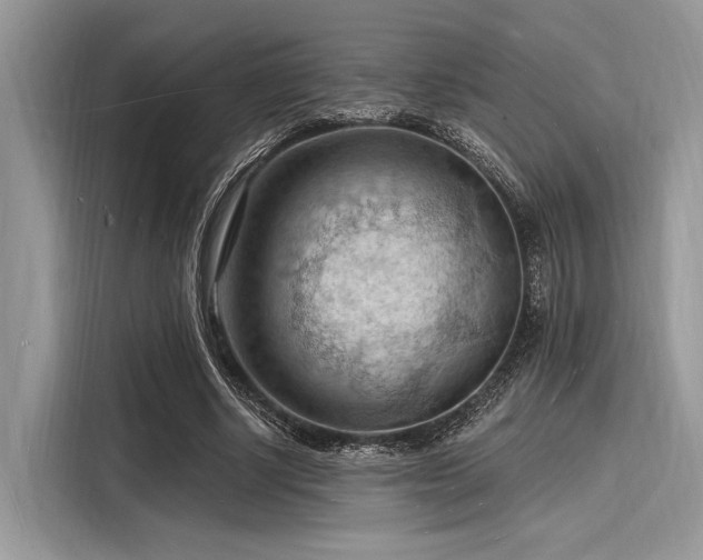 X0000116130634200911301348