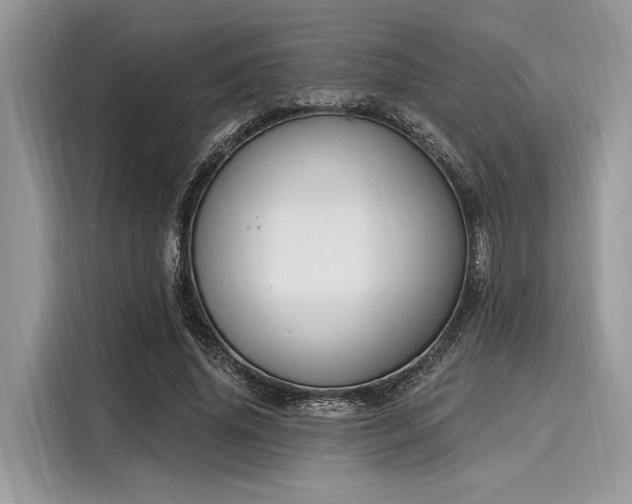 X0000116130636200911301348