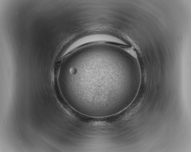 X0000116130637200911301348