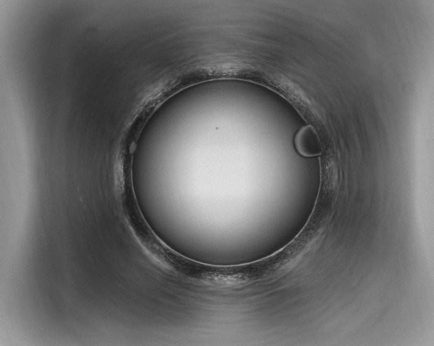 X0000116130638200911301348