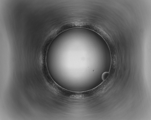X0000116130639200911301348