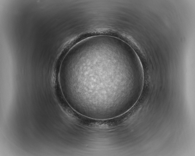 X0000116130640200911301348