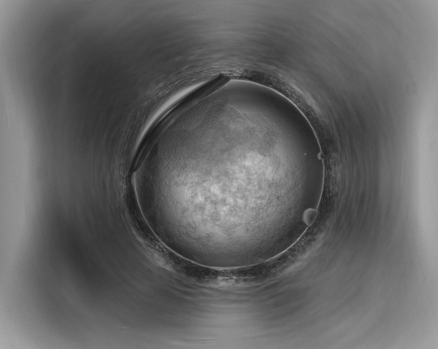 X0000116130641200911301348