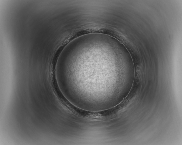 X0000116130642200911301348