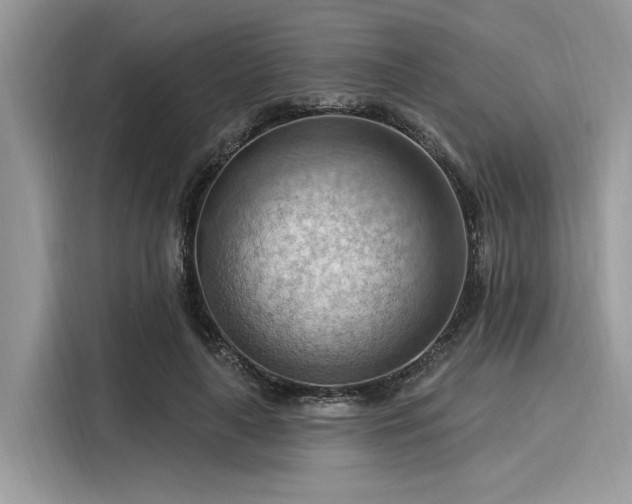 X0000116130643200911301348