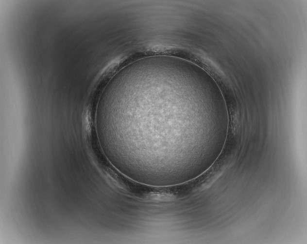 X0000116130644200911301348