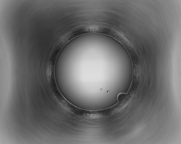 X0000116130645200911301348