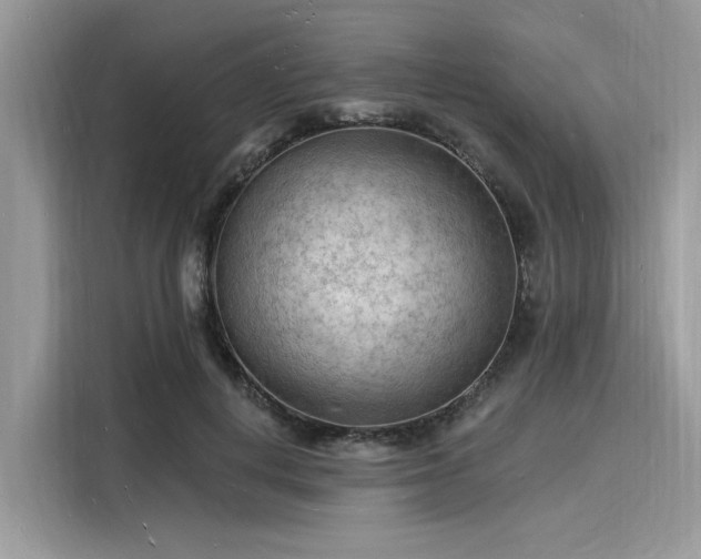 X0000116130648200911301348