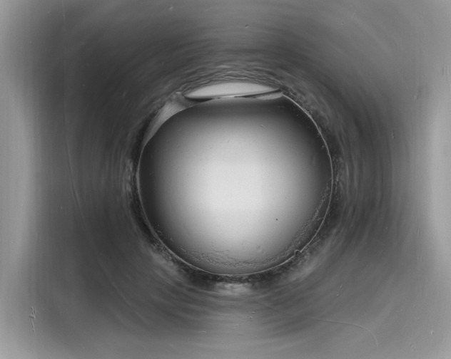 X0000116130649200911301348