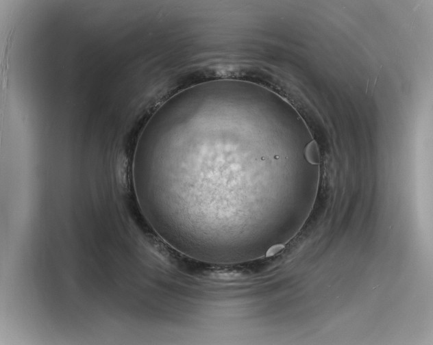X0000116130650200911301348