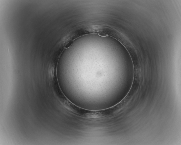 X0000116130652200911301348