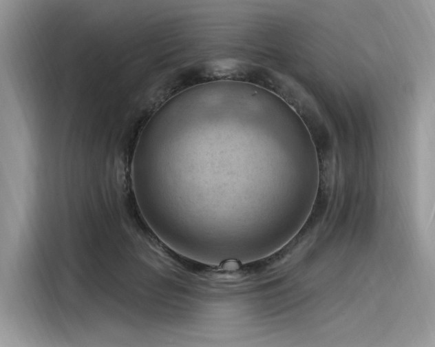 X0000116130653200911301348
