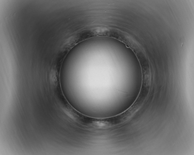 X0000116130654200911301348