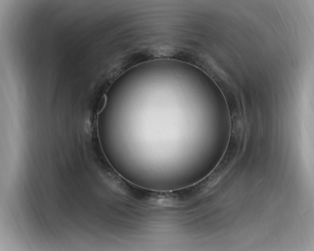 X0000116130655200911301348