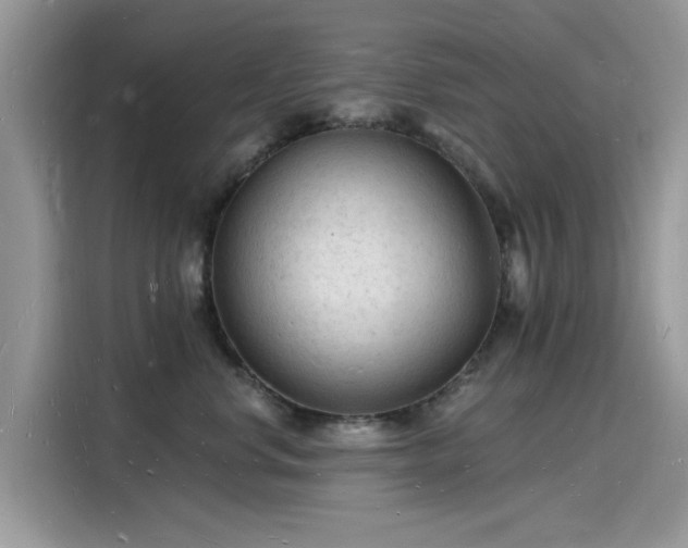 X0000116130668200911301348