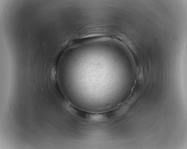 X0000116130669200911301348