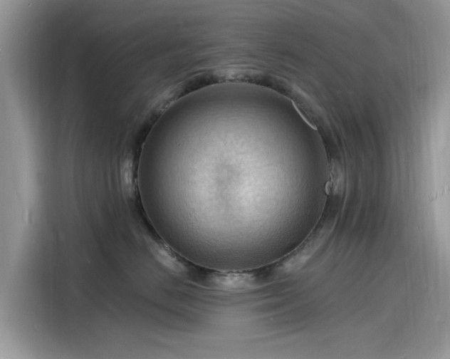 X0000116130670200911301348
