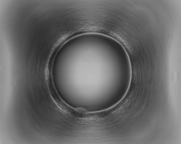 X0000116130674200911301347