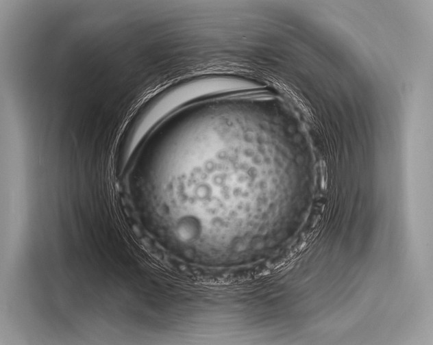 X0000116130675200911301347