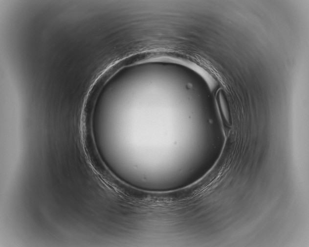 X0000116130676200911301347