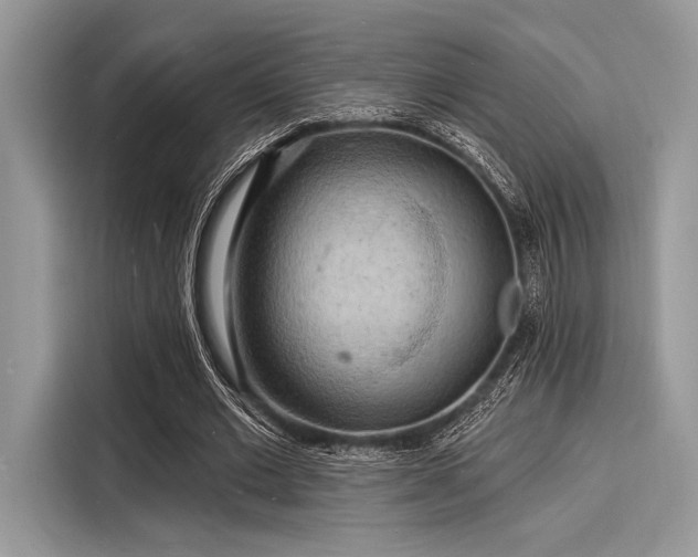 X0000116130677200911301347