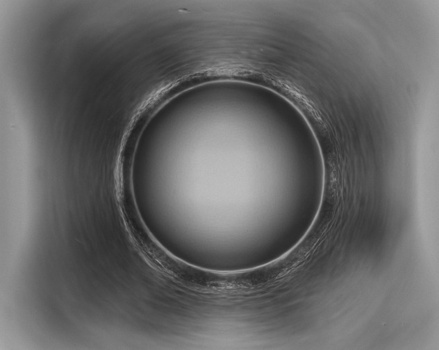 X0000116130678200911301347
