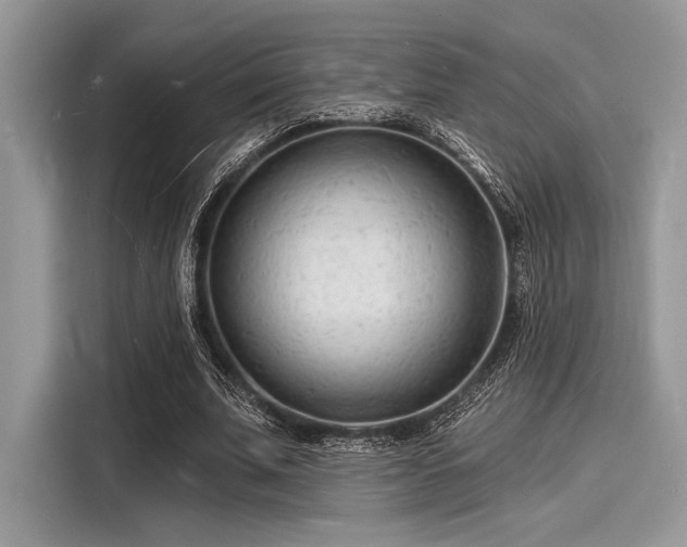 X0000116130679200911301347