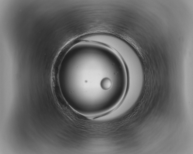 X0000116130680200911301347