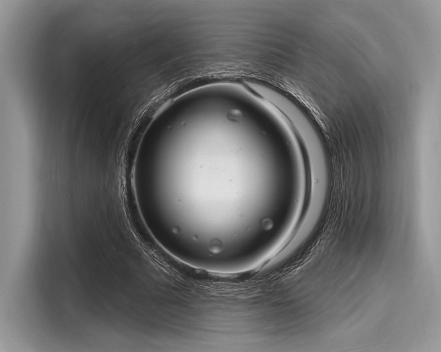 X0000116130681200911301347