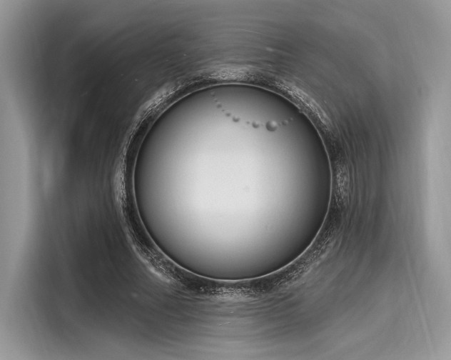X0000116130682200911301347