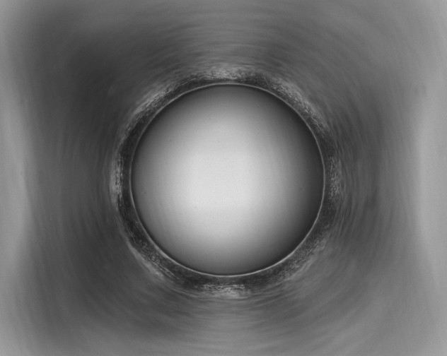 X0000116130683200911301347